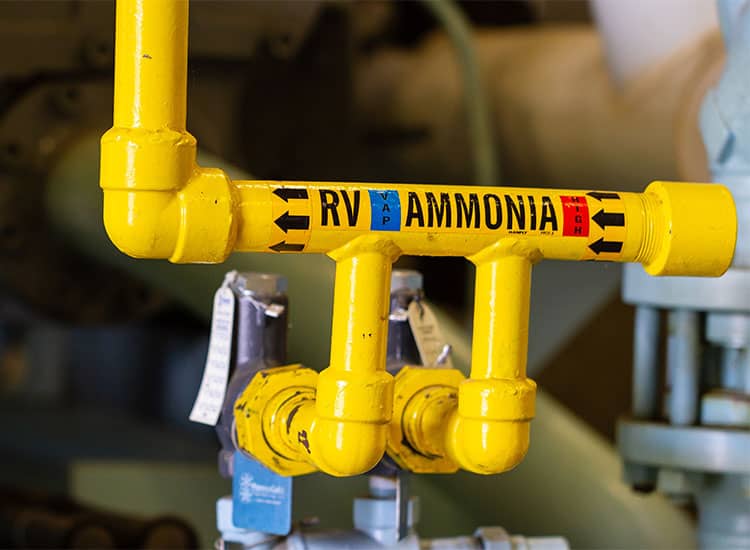Mechanical Integrity Audit-ammonia Refrigeration Compliance